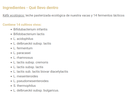 KEFIR CREMOSO NATURAL (2 und) XANCEDA