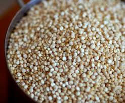 QUINOA A GRANEL Rincón del Segura
