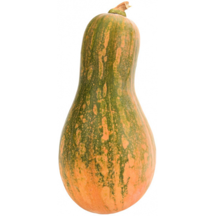 CALABAZA VASCA (kg)