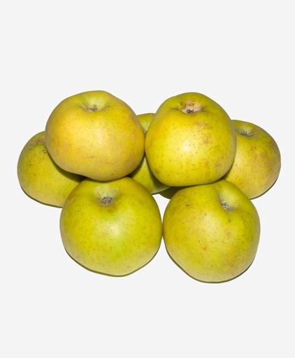 MANZANA REINETA (kg)