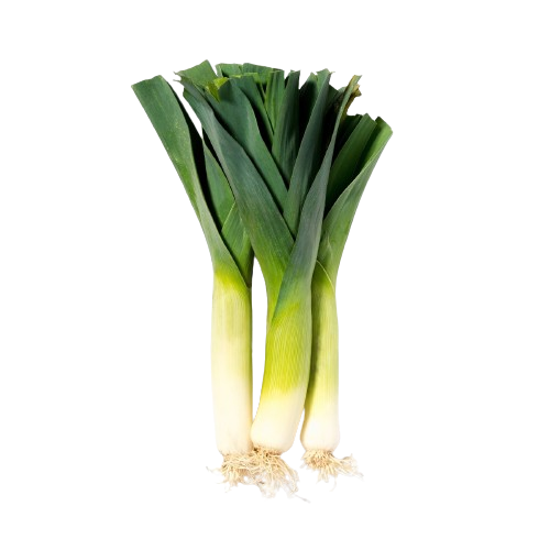 PUERRO BIODINÁMICO (kg)