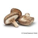 SETAS SHIITAKE Delika2 (kg)