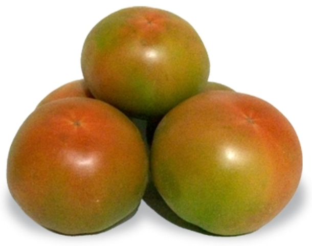 TOMATE JACK ultima semana! (kg)