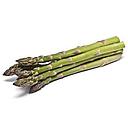 ESPARRAGO TRIGUERO Uztaldi (250 g)