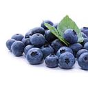 ARANDANOS (tarrina 125 g)