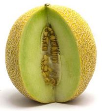 MELON GALIA (und de 1,5 kg aprox)