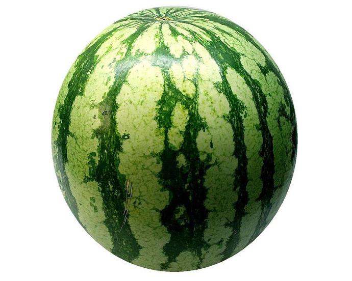 SANDIA (kg) falso