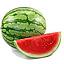 SANDIA (kg)