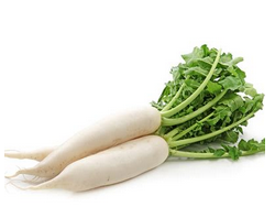 NABO DAYKON (kg)