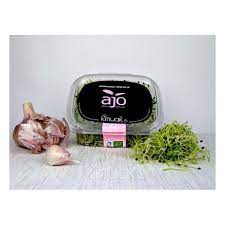 GERMINADO DE AJO BIO