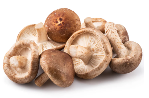 SETA SHIITAKE (100gr)