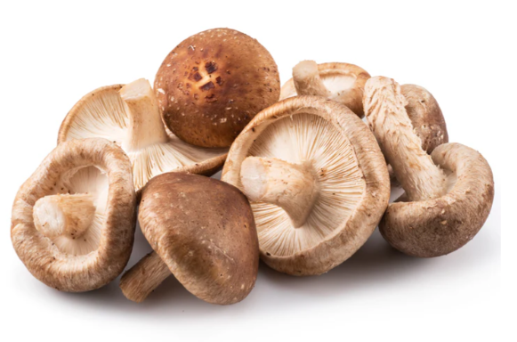 SETA SHIITAKE Delika2 (100 gr)
