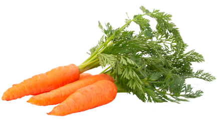 ZANAHORIA HOJA (man de 500 gr)