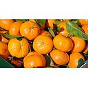CAJA DE NARANJAS (7 kg) Y MANDARINAS (3 kg) (solo pabellon)