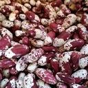 BABARRUN EZKEREKOTXA (kg)