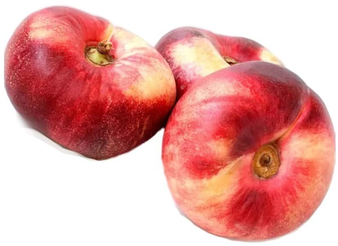 PLATERINA (kg)