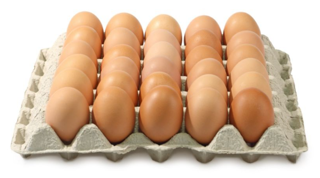 HUEVOS M en PLANCHETAS Zalduondo (solo pabellon)
