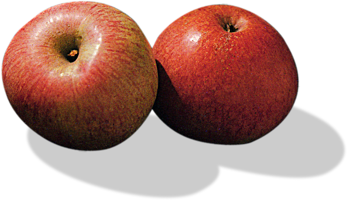 MANZANA CASERIO (kg)