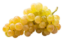 UVA BLANCA (kg)