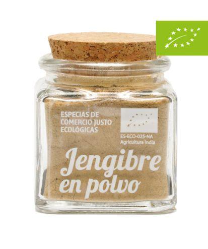 JENGIBRE EN POLVO (40 gr)