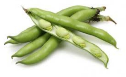 HABAS (kg)
