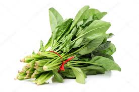 ESPINACA (kg)