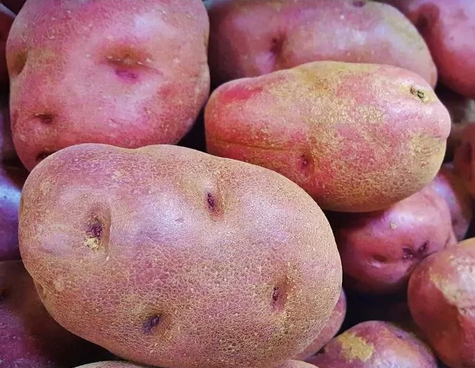 PATATA de Matauko (kg)