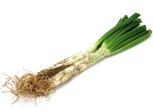 CALÇOT (kg)