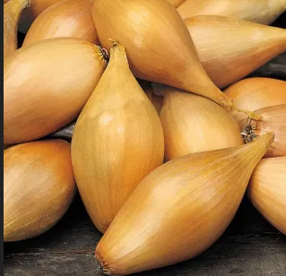 CEBOLLA BLANCA TIPO CHALOTA (kg)