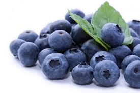 ARANDANOS (tarrina 250 g)