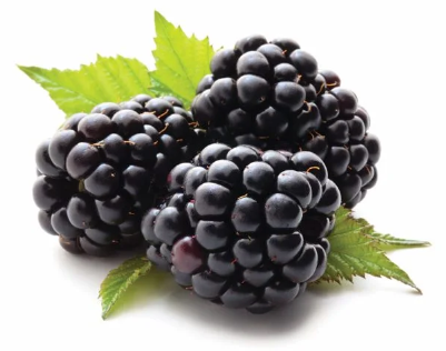 MORAS (tarrina 125 gr)