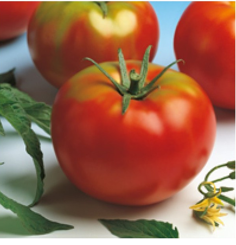 TOMATE ENSALADA LOCAL (kg)