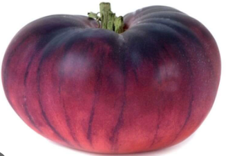 TOMATE NAVARRA (kg)