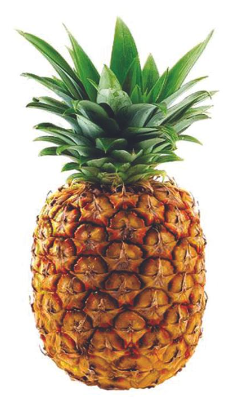 PIÑA (kg)