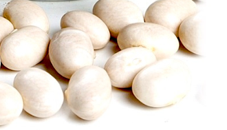 ALUBIA BLANCA COCO (kg)