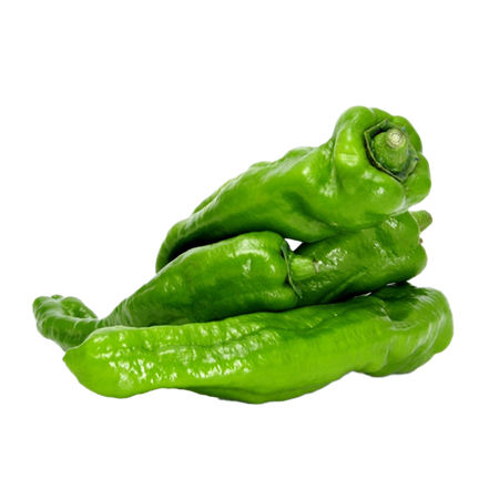 [1010150] PIMIENTO VERDE ITALIANO (kg)
