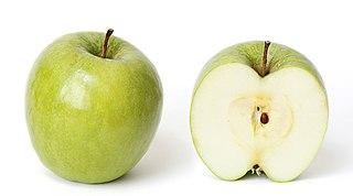 [1020052] MANZANA GRANNY SMITH (kg)