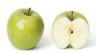 [1020052] MANZANA GRANNY SMITH