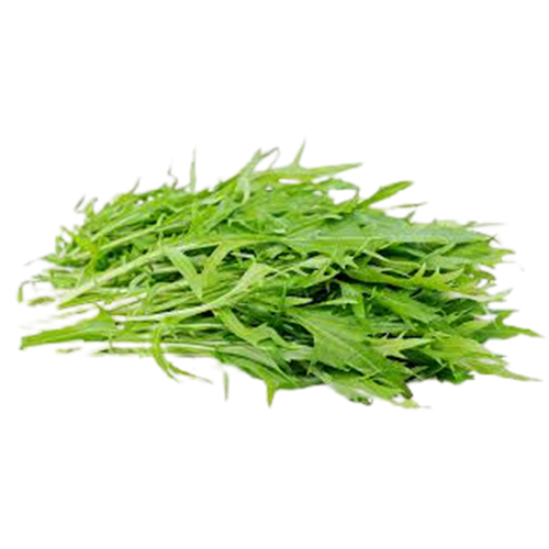 [1010214] MIZUNA (manojo)