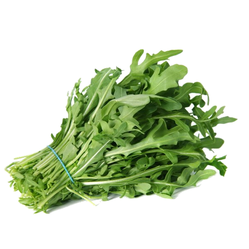 [1010229] RUCULA Zouhir (manojo)