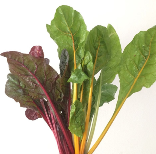 [1010309] ACELGA DE COLORES (kg)