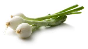 [1010208] CEBOLLETA (manojo)