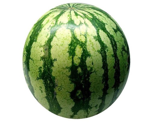 [1020139] SANDIA (kg)