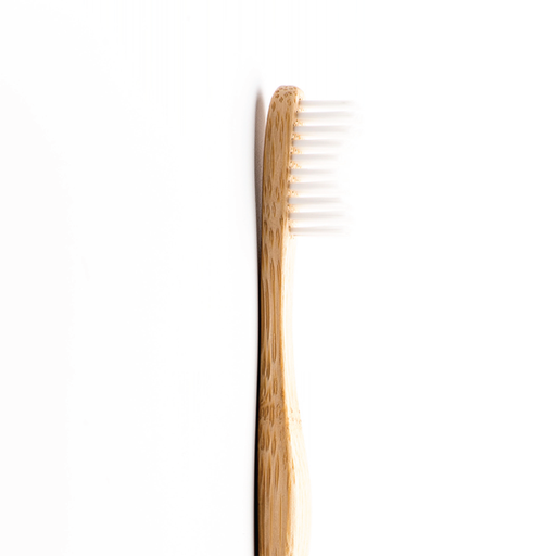 [3200020] HELDUENTZAKO HORTZ ESKOBILA ERTAIN-LEUNA Brushboo (alea)