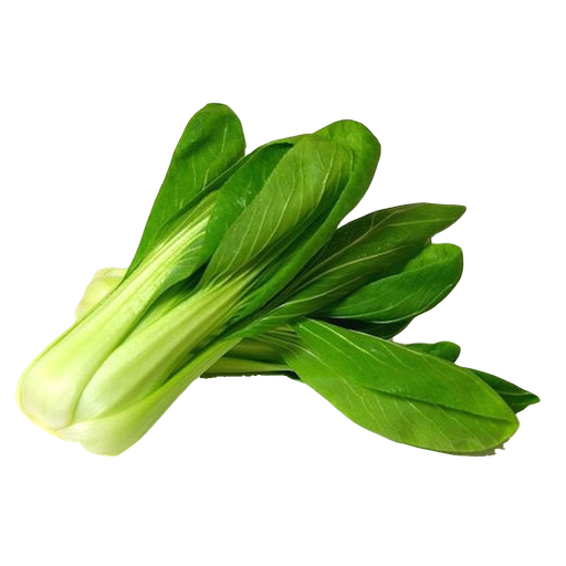 [1010263] PAK CHOI (und)