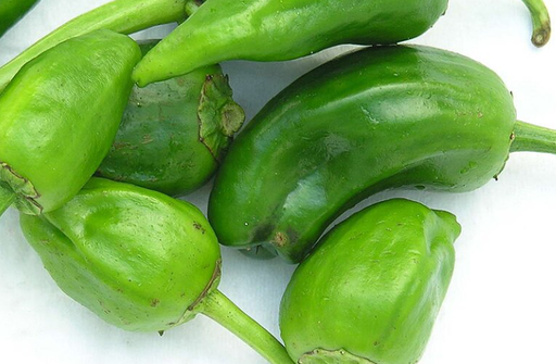 [10101522] PIMIENTO VERDE DE PADRON (150 g)