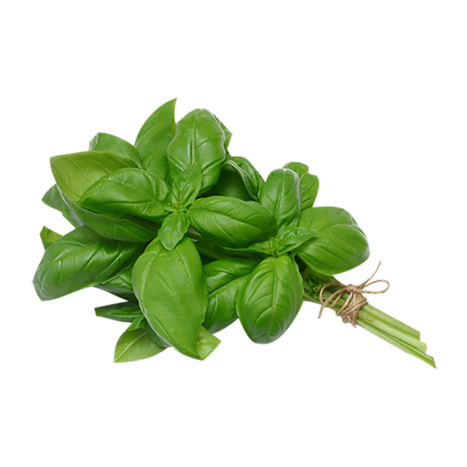 [1010228] ALBAHACA VERDE (manojo)