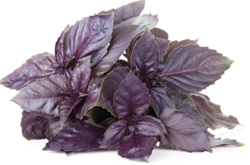 [1010227] ALBAHACA MORADA (manojo)