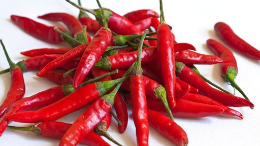 [10101531] GUINDILLAS PICANTE JALAPEÑO (kg)